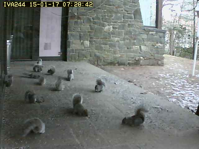 Automatic camera wildlife capture