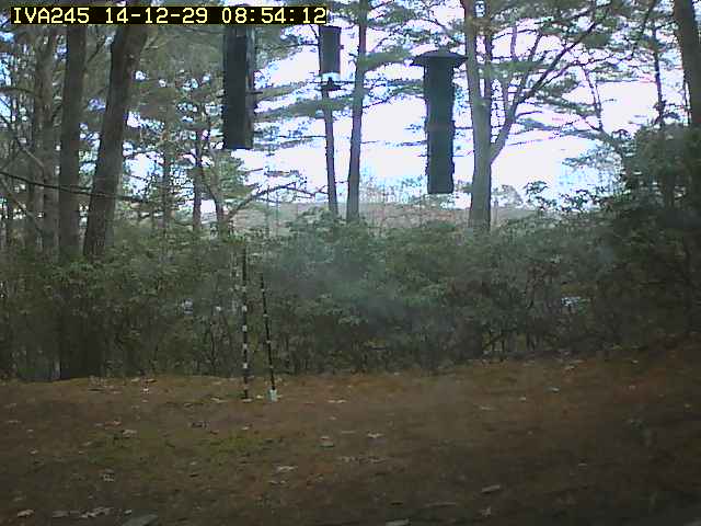 Automatic camera wildlife capture