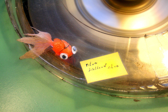 Image from Dutch trip